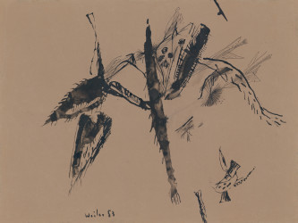 Wei P 5.003