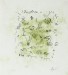 Bern P 1.002
