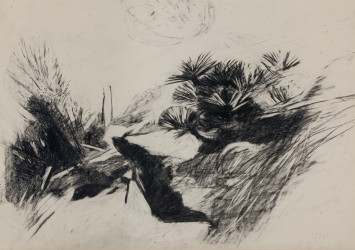 Schi P 14.002