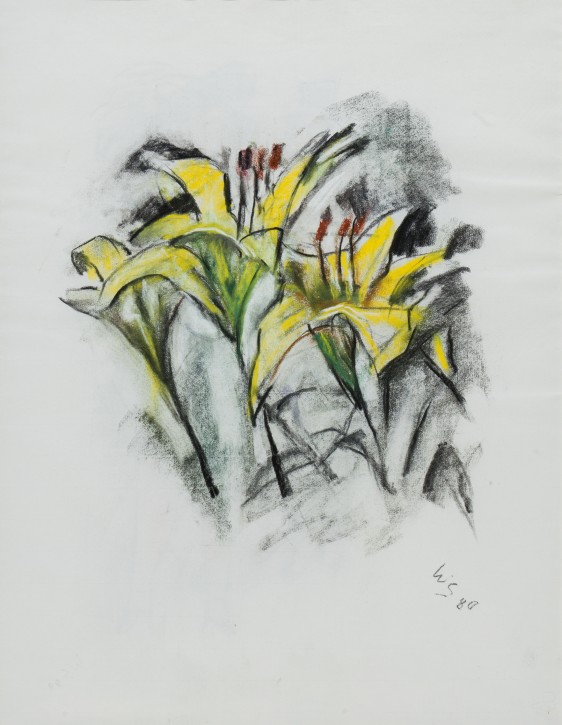 Scho P 4.002
