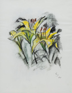 Scho P 4.002