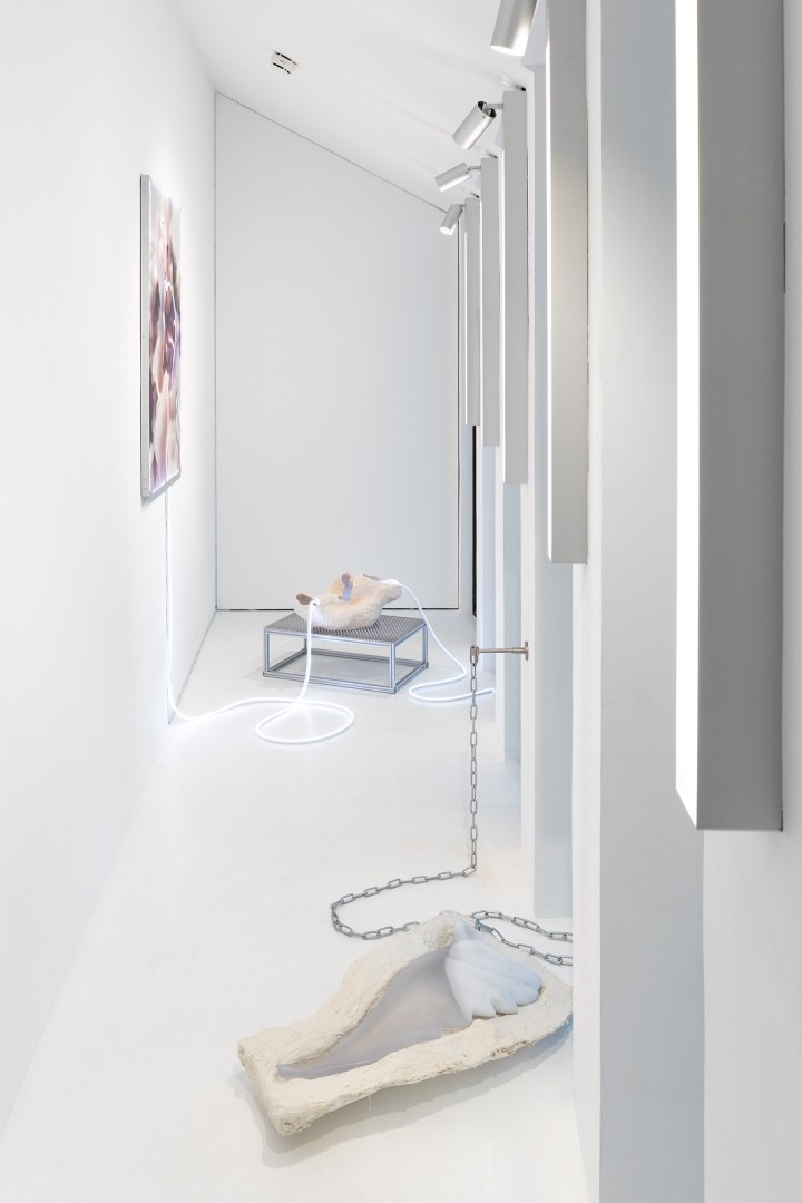 WEBArt Box Lukas Dworschak 12