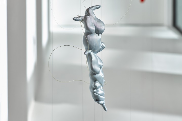 WEBKatharina Theresa Mayr 55