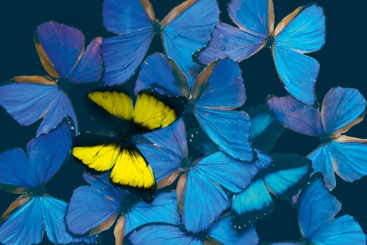 LNDM2024 Homepage v2