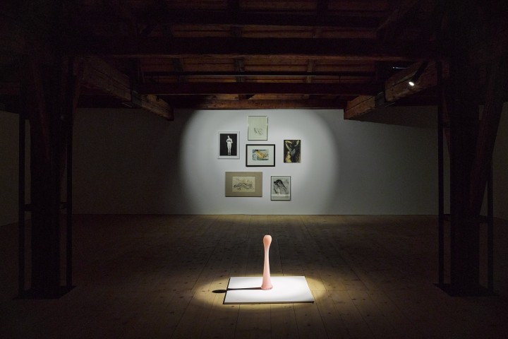 Kunst des Sammelns Spotlights MUSEN