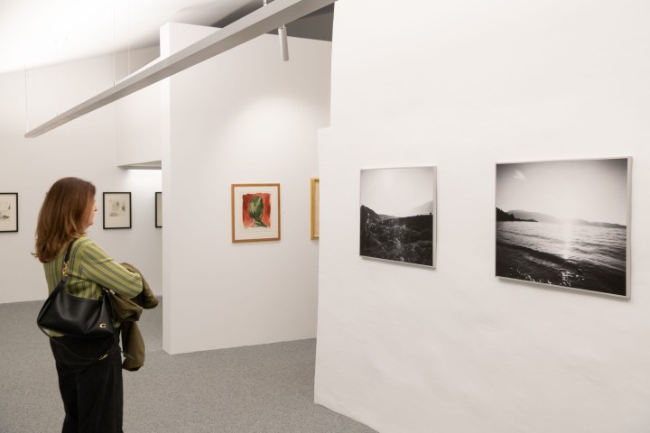 Munterer Himmel 27.2.26 opening 15