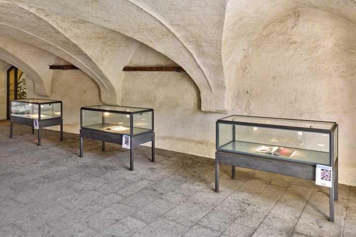 Amanda Burzic Can Hold This For Me c WEST 3