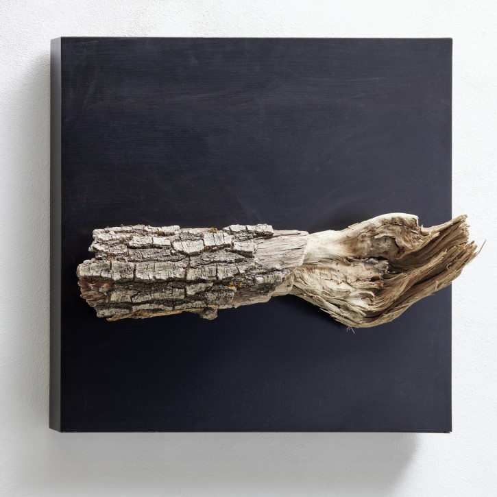 Hermann Graber die Hand