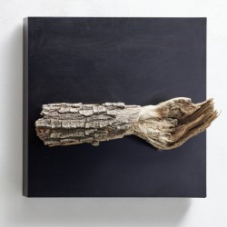 Hermann Graber die Hand